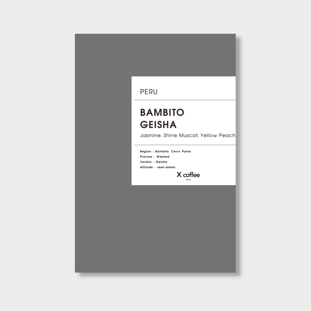 【 Panama 】Bambito Geisha
