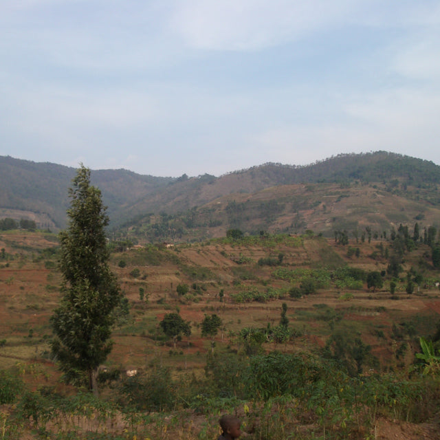 【 Rwanda 】Simbi