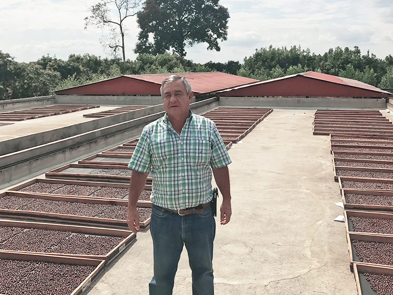 【 Colombia 】 Mazatolan Peach