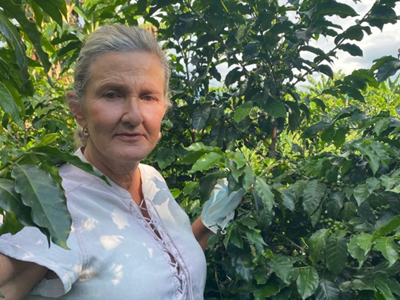 【 Colombia 】 Mazatolan Peach