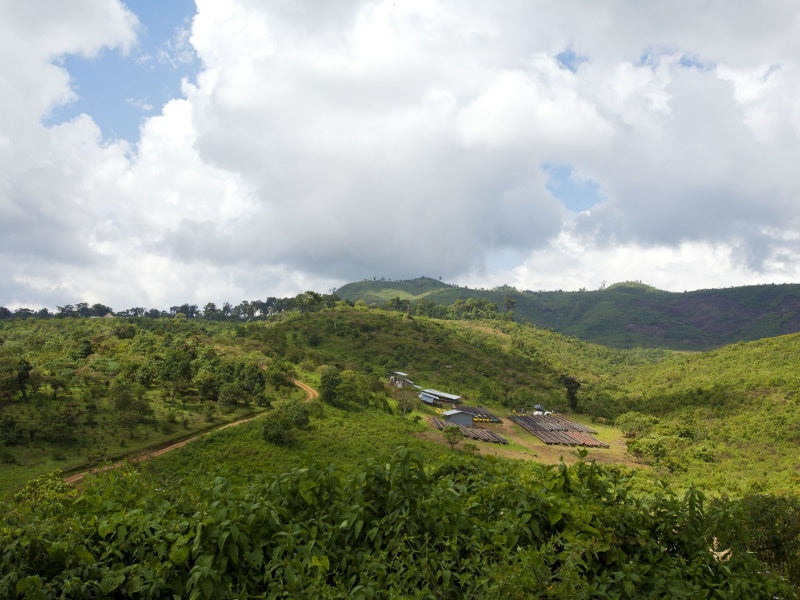 【 Ethiopia 】 Gesha Village BANGI