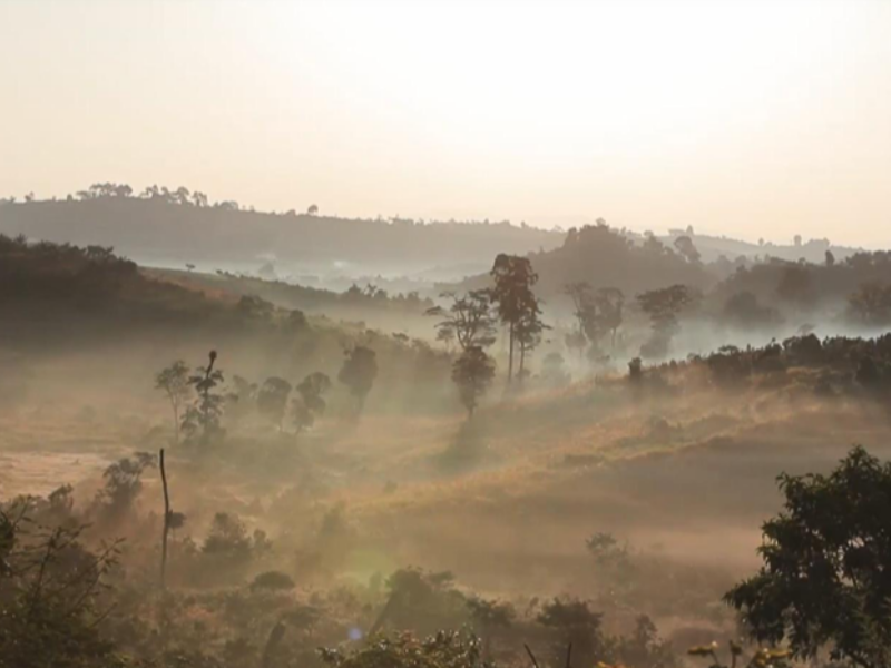 【 Ethiopia 】 Gesha Village BANGI